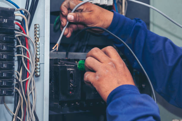 Best Electric Panel Repair  in Putney, GA